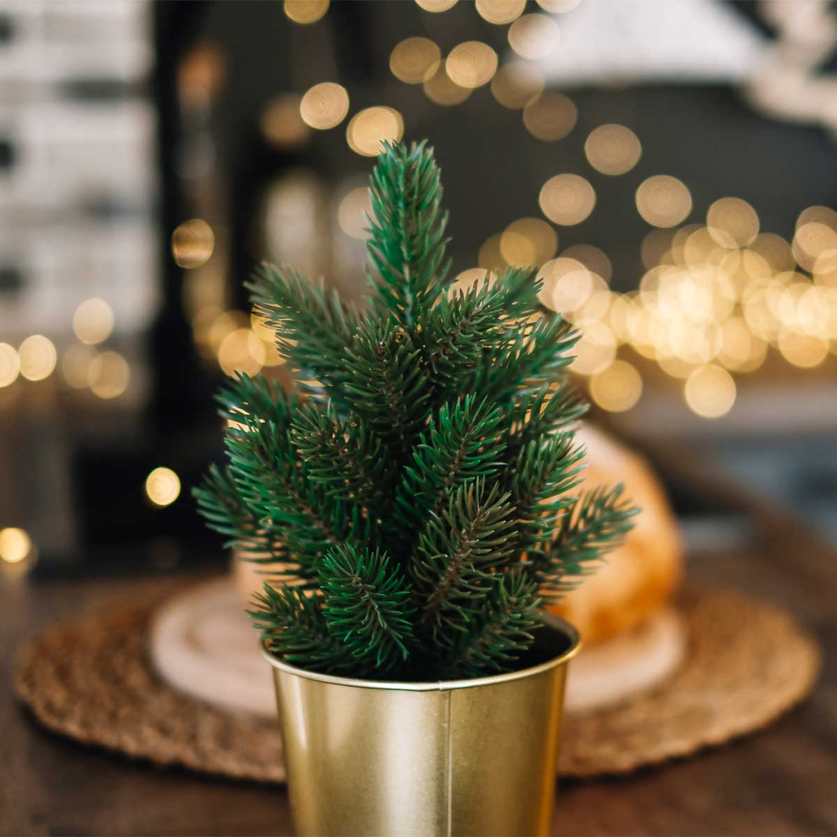 De ideale verzorging je kerstboom in by COMPO